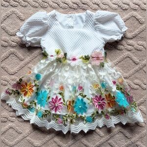 Baby Girl 9-12M Formal Dress - Short Puff Sleeves & Colorful Embroidered Flowers